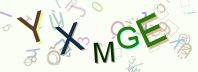 This is a captcha-picture. It is used to prevent mass-access by robots. (see: www.captcha.net)